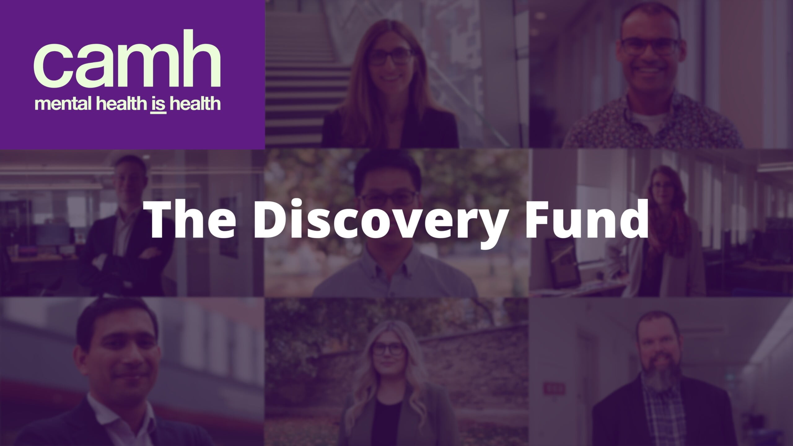 9 Scientists Talk about the Discovery Fund